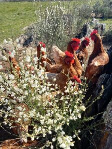 IMG-20210309-WA0002