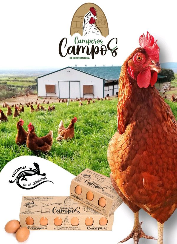 WhatsApp Image 2025-01-16 at 07.48.52 huevos camperos Camperos Campos