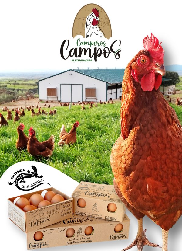 WhatsApp Image 2026-03-25 at 14.37.46